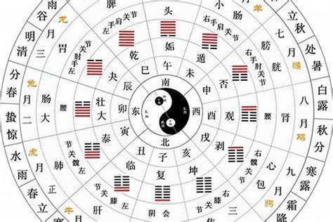 兔年天干地支|兔年（中国传统历法）